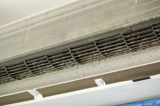 Best Ventilation Cleaning Services  in Terra Alta, WV